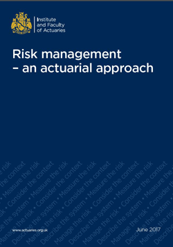 Image of the Risk Principles cover